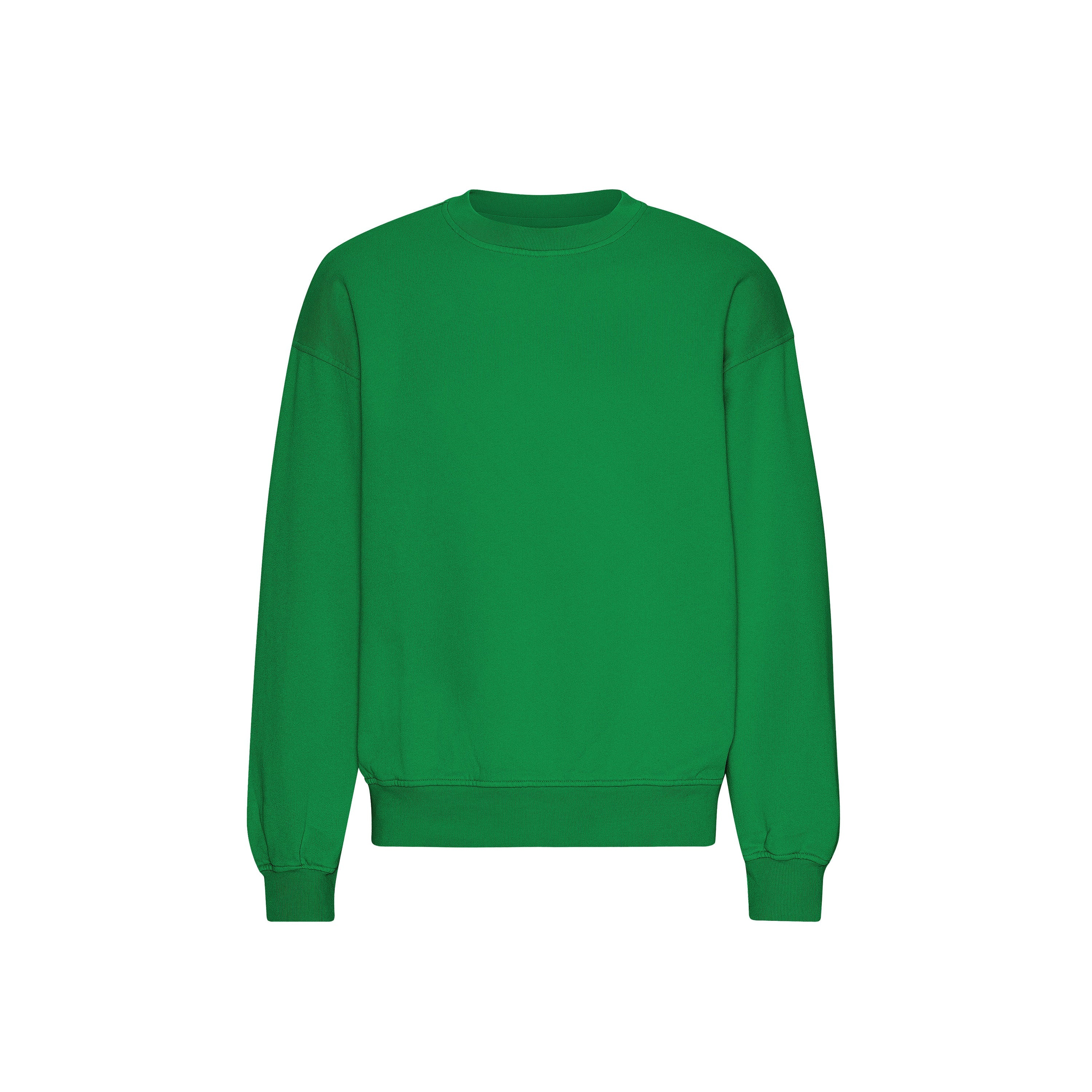 Colorful Standard Trui oversized crew neck Kelly Green