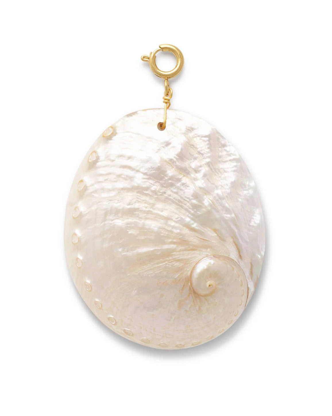 Le Veer Oval Shell Bedel