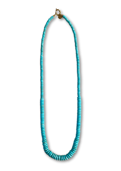Turquoise Long Necklace