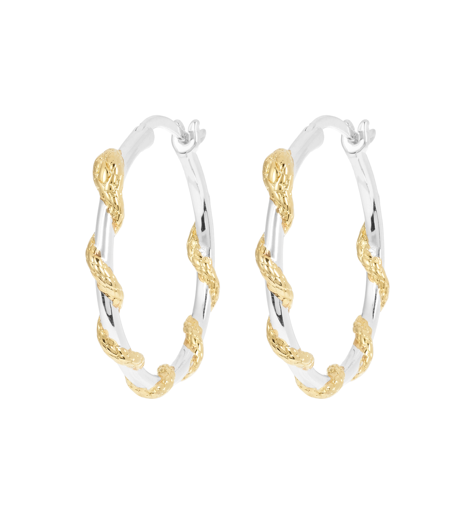 Anna + Nina Big Twisting Serpent Hoop Oorbellen (2 stuks)