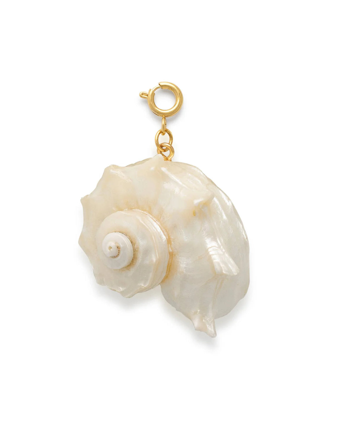 Le Veer Shell Couture Bedel