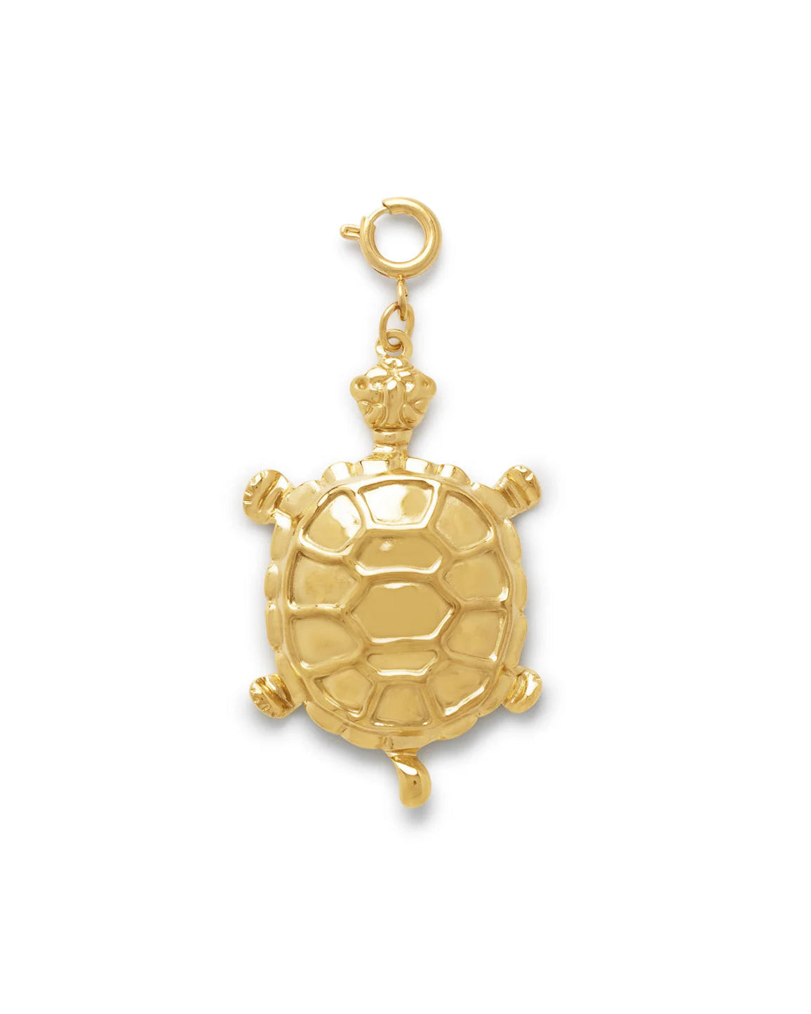Le Veer Golden Turtle Bedel
