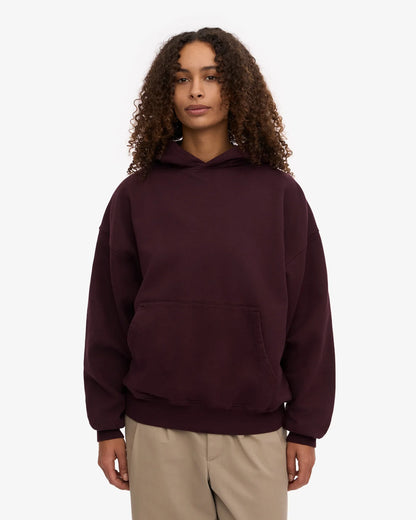 Colorful Standard Oversized Hoodie Truien & Vesten